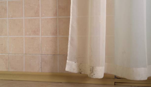 Best Mold Remediation for Healthcare Facilities  in Leitchfield, KY