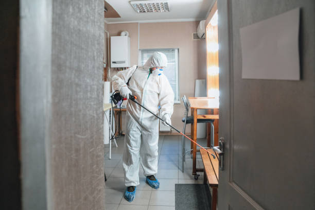 Environmental Consulting for Mold Prevention in Leitchfield, KY