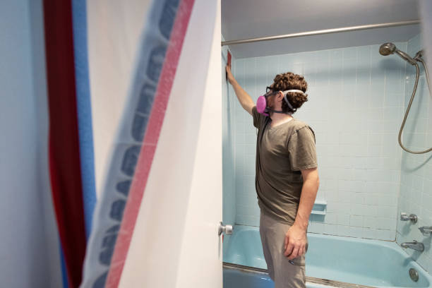 Leitchfield, KY Mold Removal Company