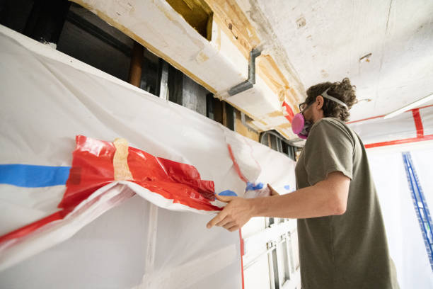 Best Mold Damage Restoration  in Leitchfield, KY