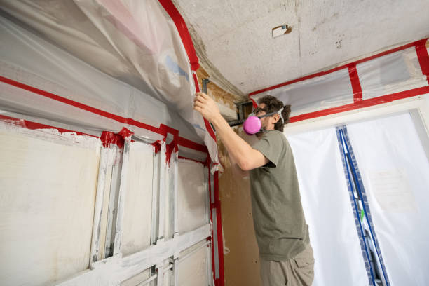 Best Mold Remediation for Vacation Homes  in Leitchfield, KY