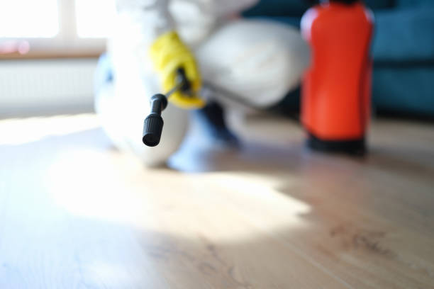 Best Attic Mold Removal  in Leitchfield, KY