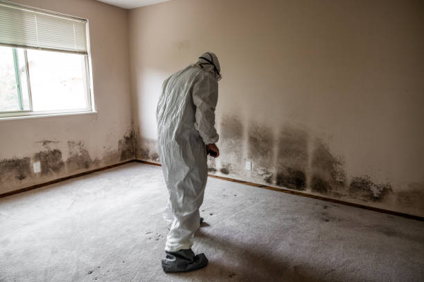 Best Air Quality Testing for Mold Spores  in Leitchfield, KY