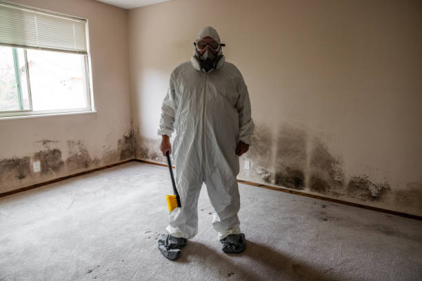 Best Mold Removal for HVAC Installations  in Leitchfield, KY